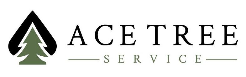 ACE-TREE-HORIZONTAL-1-e1657543743167